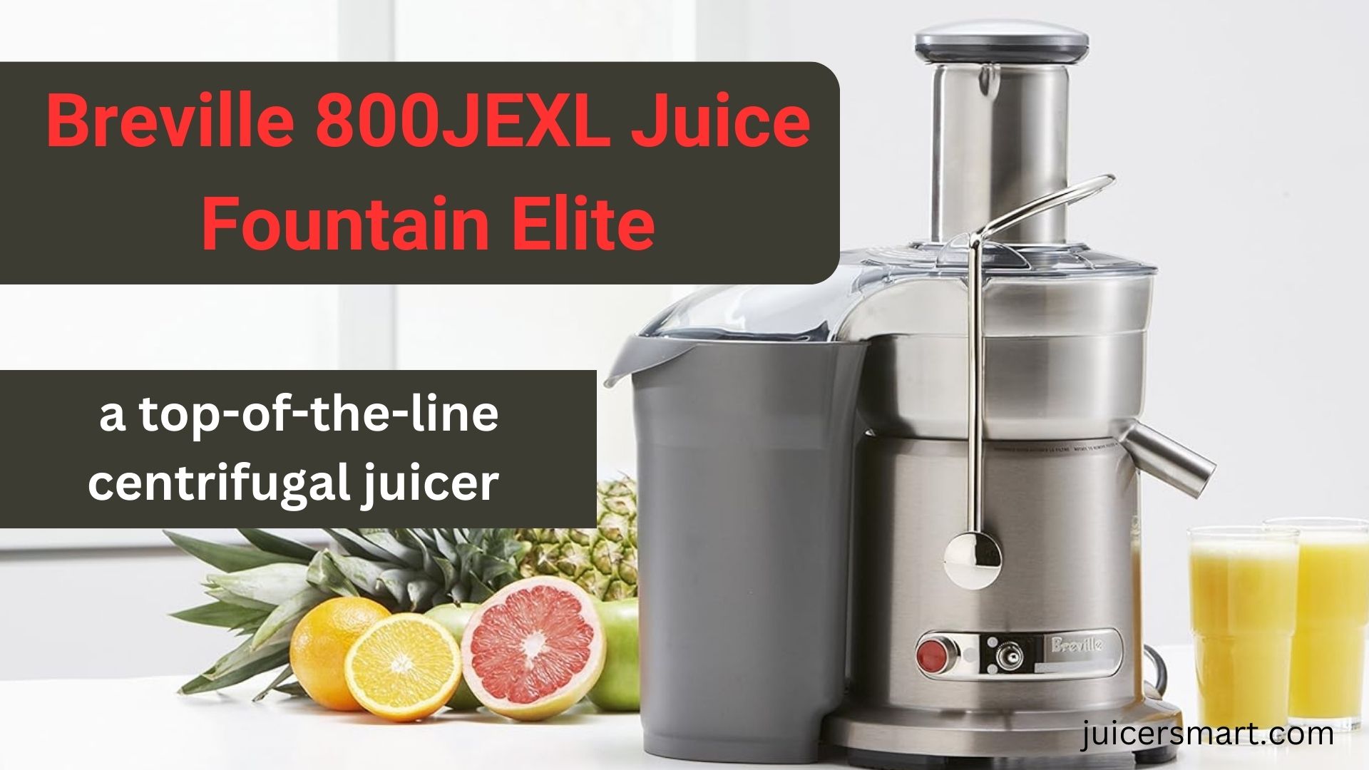 Breville 800JEXL Juice Fountain Elite