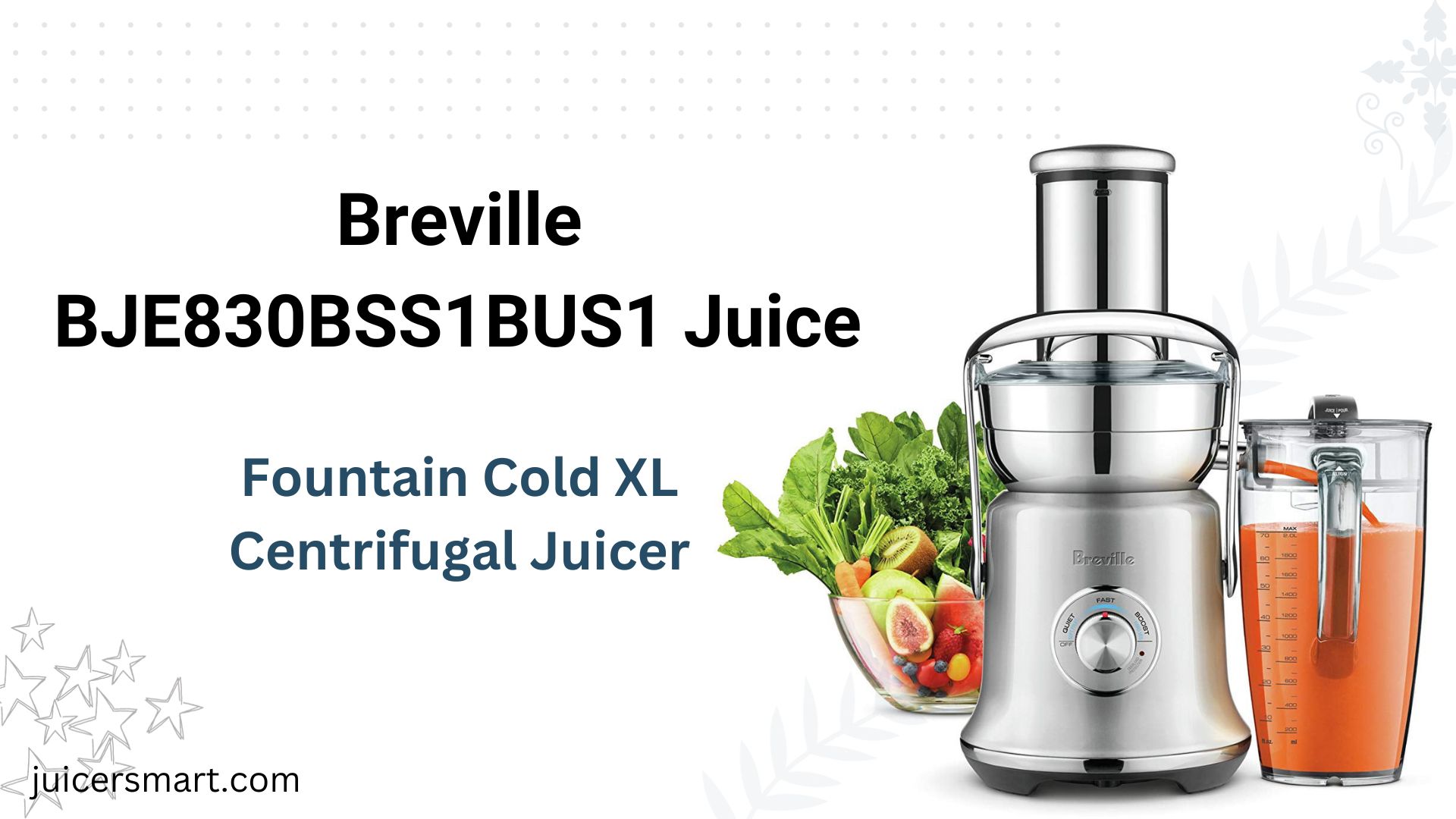Breville BJE830BSS1BUS1 Juice Fountain Cold XL Centrifugal Juicer