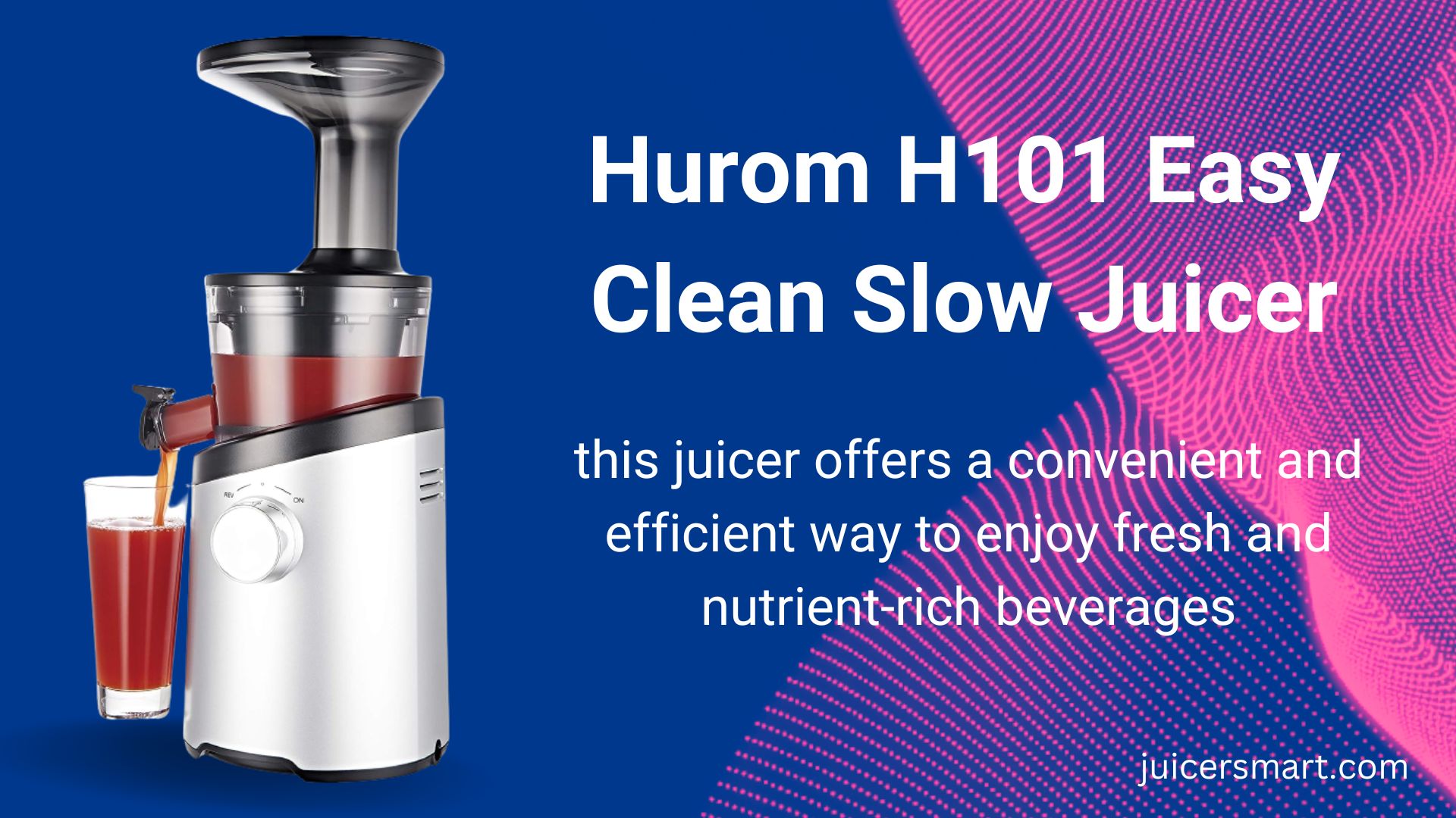 Hurom H101 Easy Clean Slow Juicer