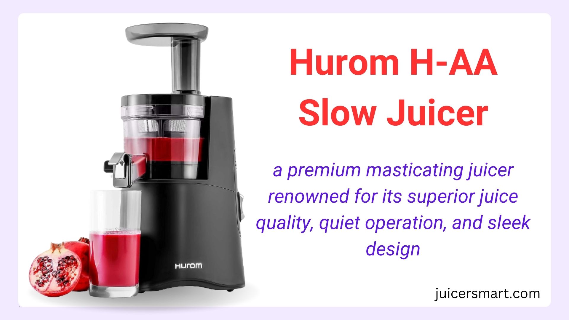 Hurom H-AA Slow Juicer