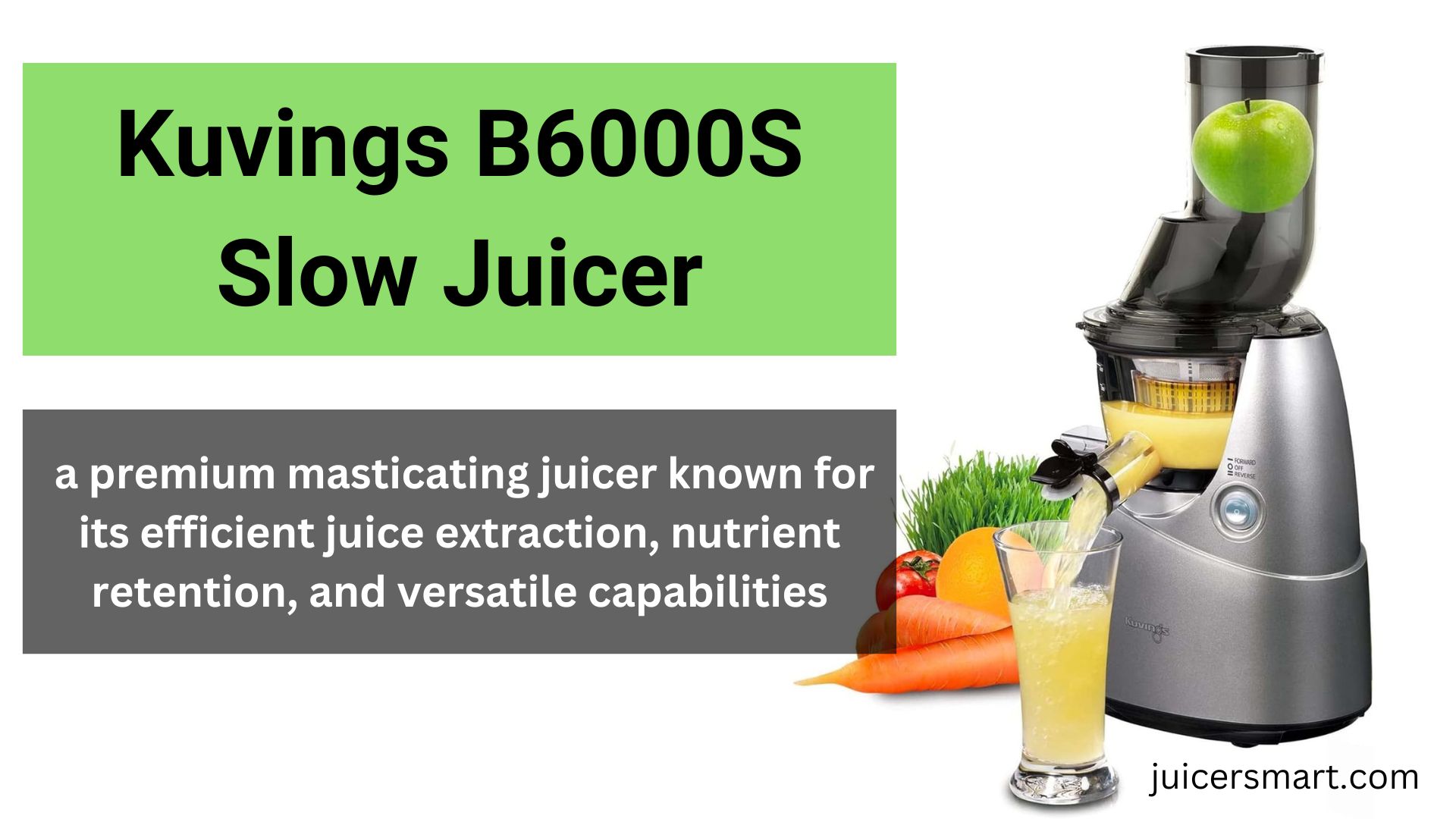 Kuvings B6000S Slow Juicer