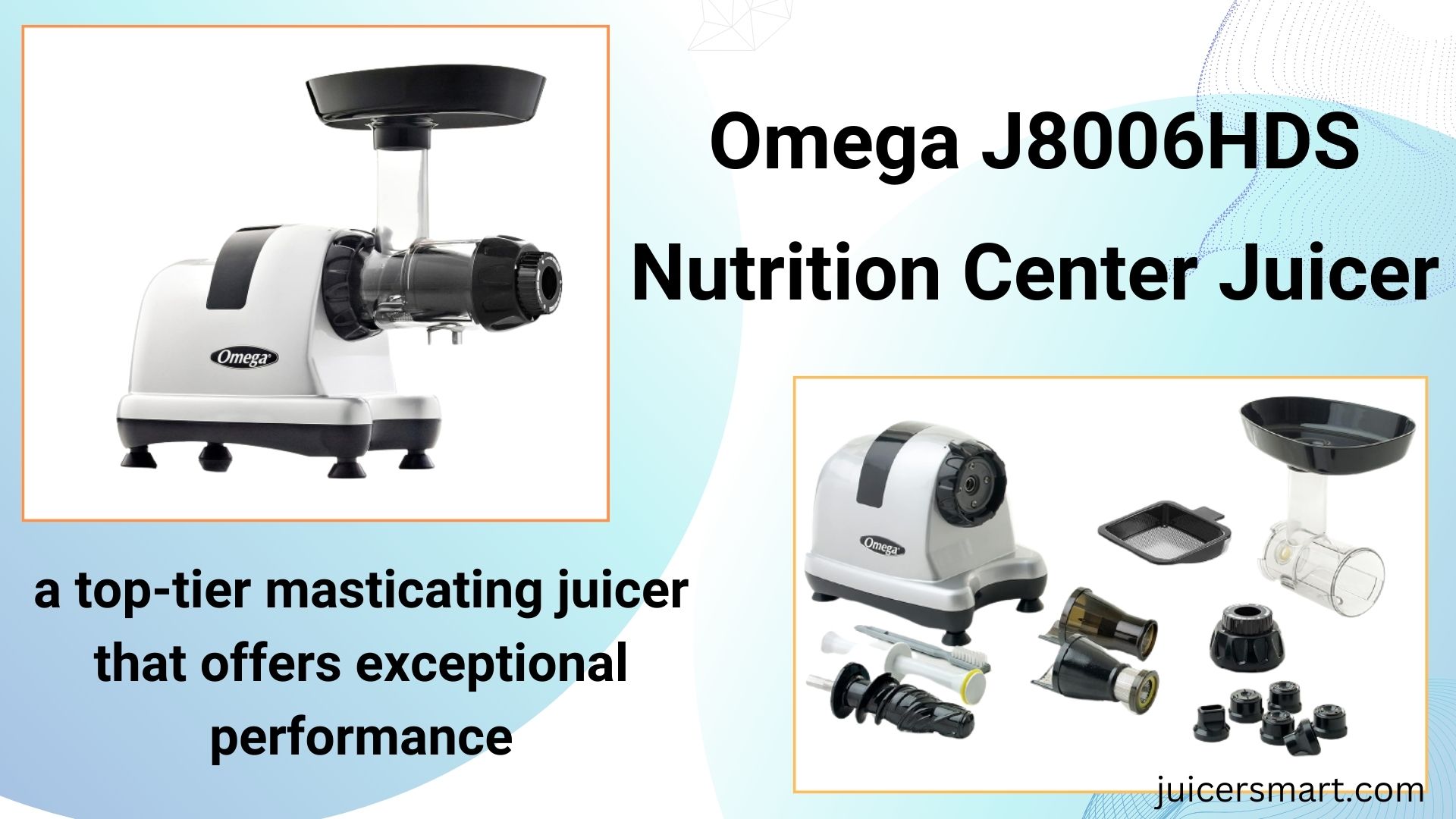 Omega J8006HDS Nutrition Center Juicer