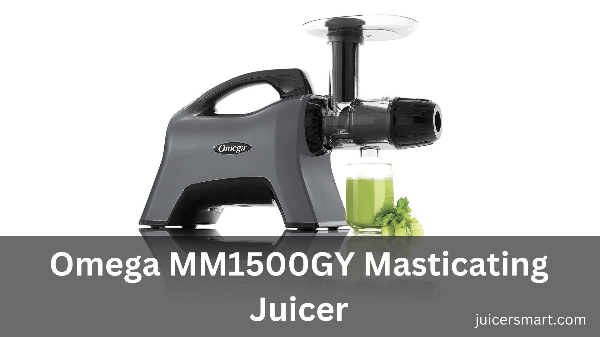 Omega MM1500GY Masticating Juicer