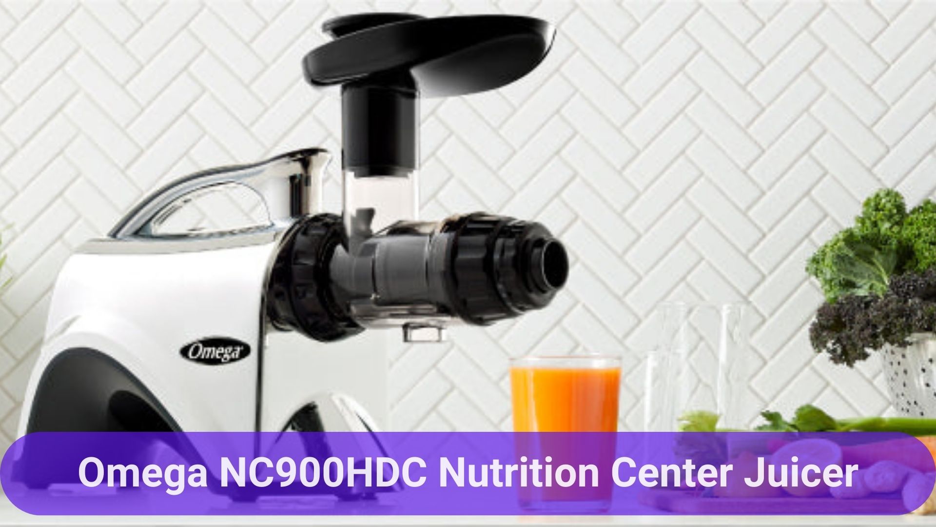 Omega NC900HDC Nutrition Center Juicer