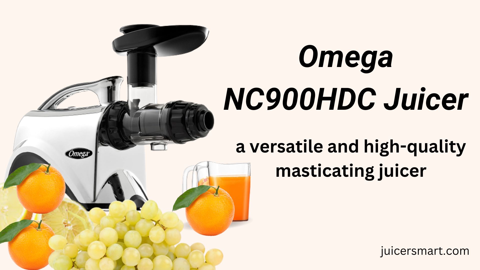 Omega Juicer