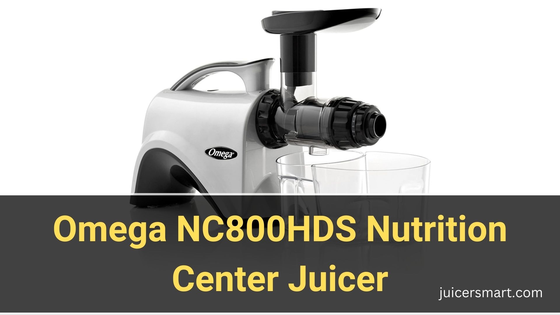 Omega NC800HDS Nutrition Center Juicer