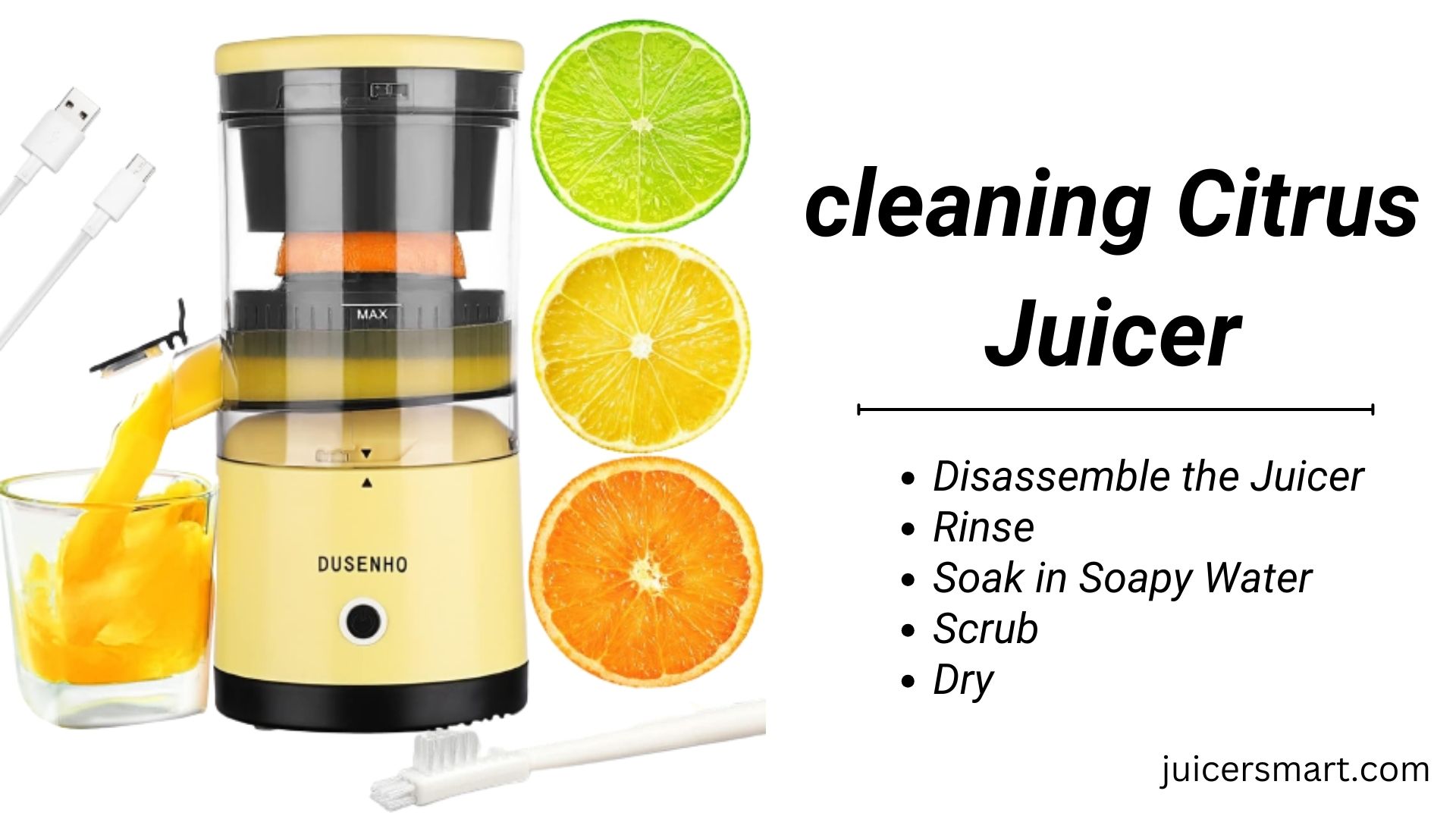 cleaning Citrus Juicer